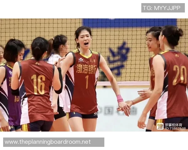 杭州排球队状态对比深度解析与未来展望