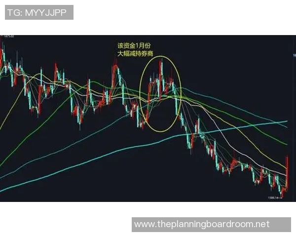重庆羽毛球队在精英赛中的速度表现分析与点评 重庆羽毛球队在精英赛中的速度表现分析与点评