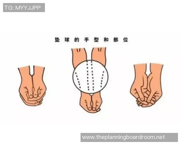 排球新手攻略：耐力入门指南