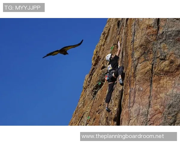 2026攀岩个人能力排名：南京攀岩队创新高_1